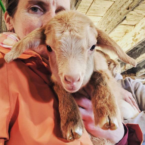 Meet your Posher, Anita - Picture 1 of 1